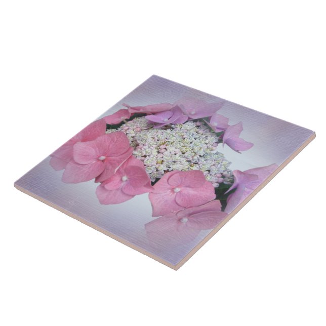 Rosa och Lila Snöre Cap Hydrangea Flowers Kakelplatta (Sidan)