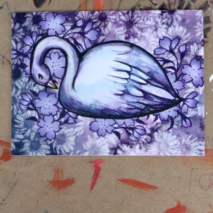 Rosa och Lila Svan art Sjö Svanar Vykort