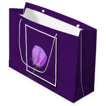 Rosa och Lila Vår Blommar Blommigt för inspiration