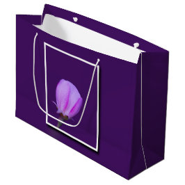 Rosa och Lila Vår Blommar Blommigt för inspiration