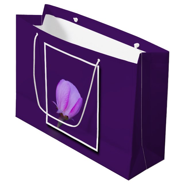 Rosa och Lila Vår Blommar Blommigt för inspiration (Framsidan Vinklad)