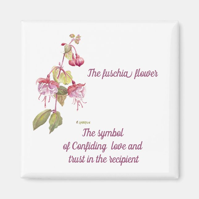 rosa och lila, vattenfärgsblomma magnet (Framsidan)