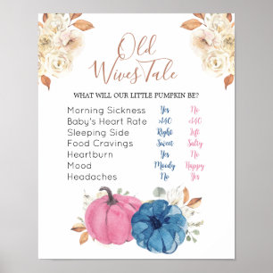  Rosa och marinpumpkin Gamla fruar Tales Poster