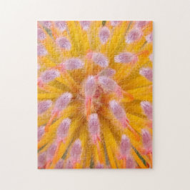 Rosa och Orange Pincushion Proteaceae Pussel