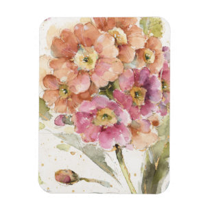 Rosa och orange Primrose Magnet