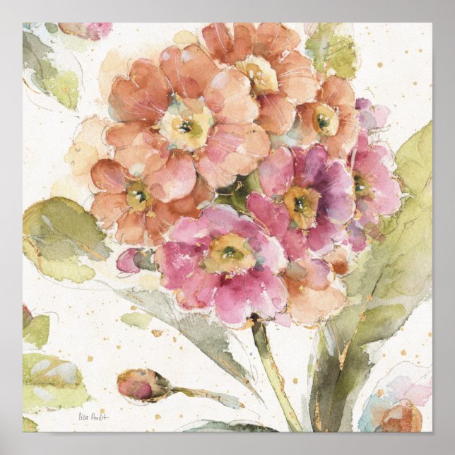 Rosa och Orange Primrose Poster (Framsidan)