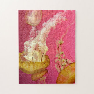 Rosa och Orange Pussel av maneter