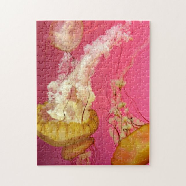 Rosa och Orange Pussel av maneter (Vertikal)