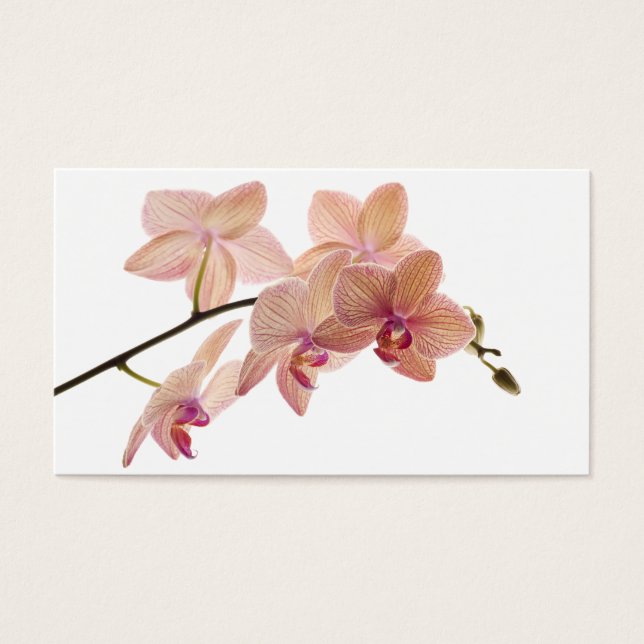 Rosa och persiko-Dendrobium Orchid - Anpassad Visitkort (Framsidan)