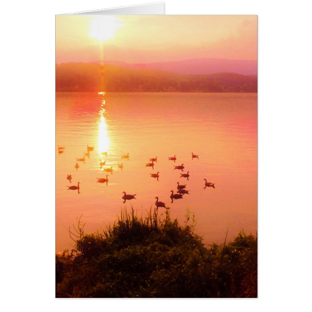 Rosa och persiko-sjö-solnedgång hälsningskort (Framsidan)