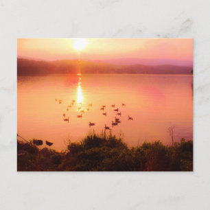 Rosa och persiko-sjö-solnedgång vykort