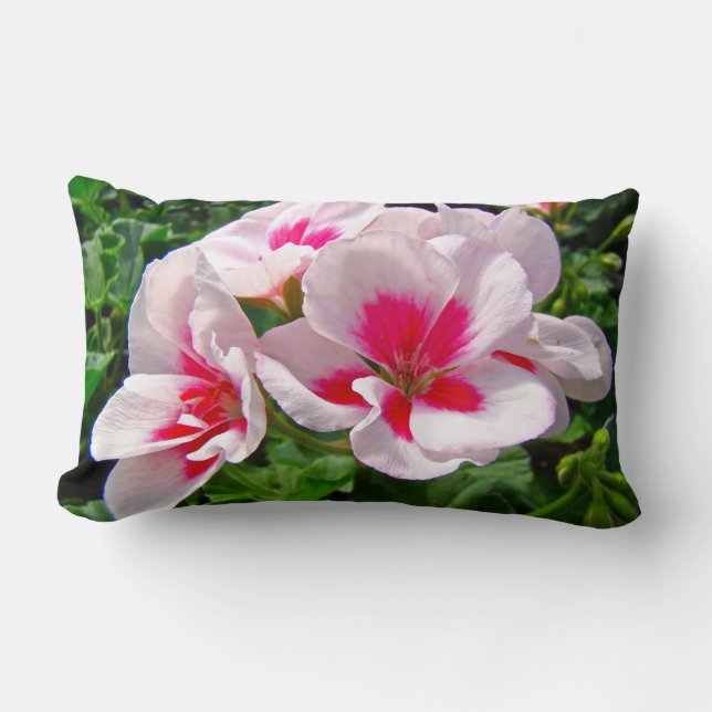 Rosa och röd Geranium-Blommigt Lumbarkudde (Framsida)