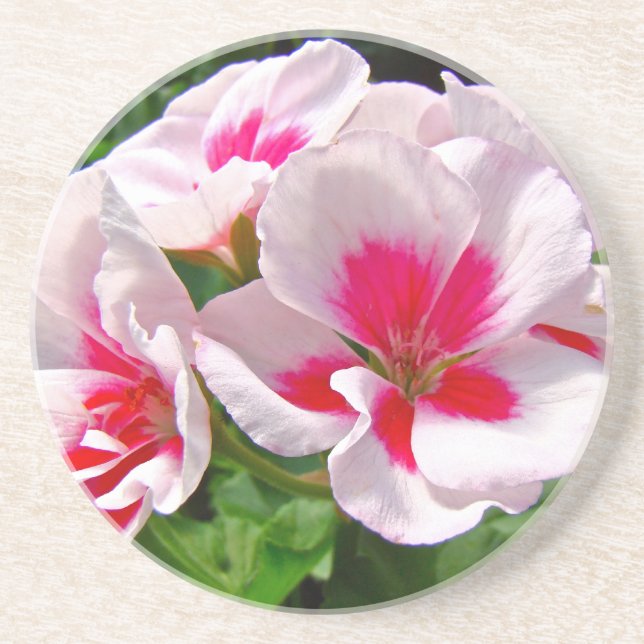 Rosa och röd Geranium-Blommigt Underlägg Sandsten (Framsidan)