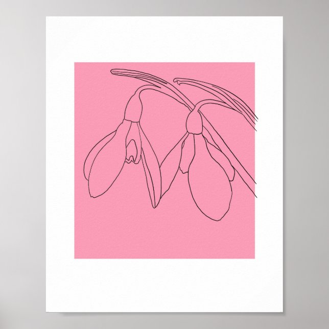 Rosa och svart snödropsblomma  poster (Framsidan)
