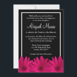 Rosa och svarta gerbera daisy Bar Mitzvah Inbjudningar<br><div class="desc">Söta rosa gerbera daisies pryder denna flickaktiga bar mitzvah-inbjudan.</div>