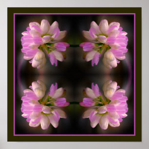 Rosa och vit blomma Abstrakt Poster