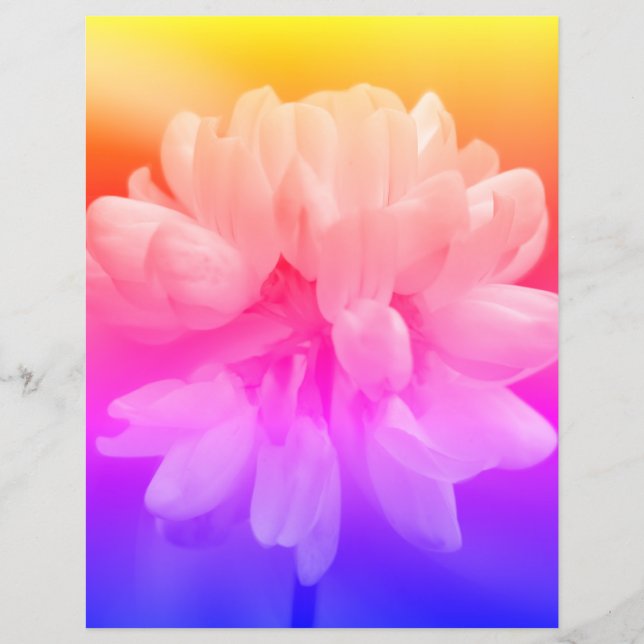 Rosa och vit blomma nära (Framsida)
