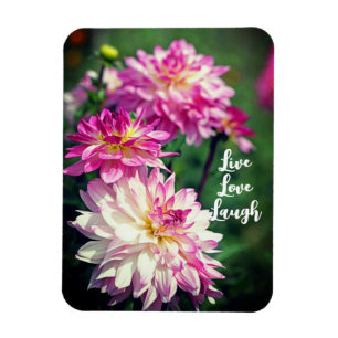 Rosa och vit Dahlia-blomma Motivational Magnet