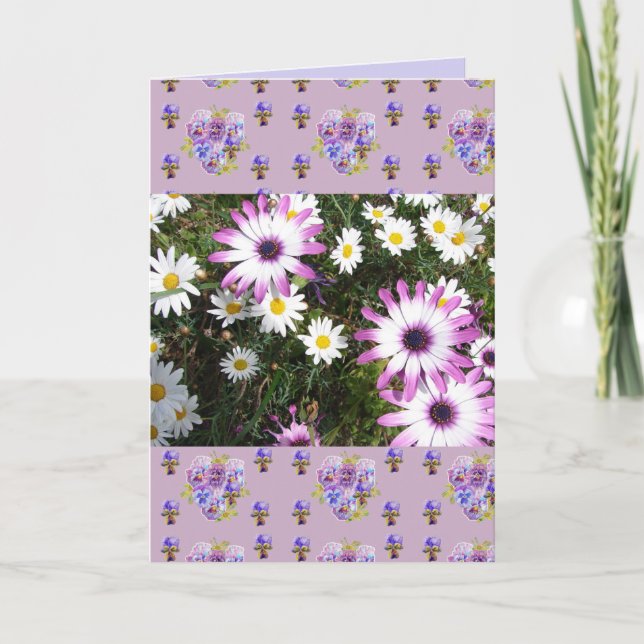 Rosa och vit Daisy Flower Blommigt Photo Art Card Kort (Framsida)