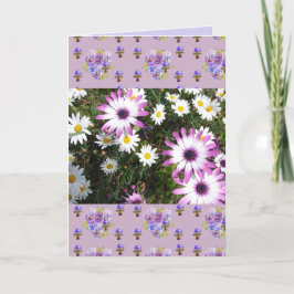Rosa och vit Daisy Flower Blommigt Photo Art Card Kort