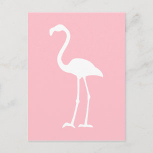 Rosa och vit flamingo vykort