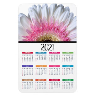 Rosa och vit Gerbera-Daisy   2021 Kalender Magnet