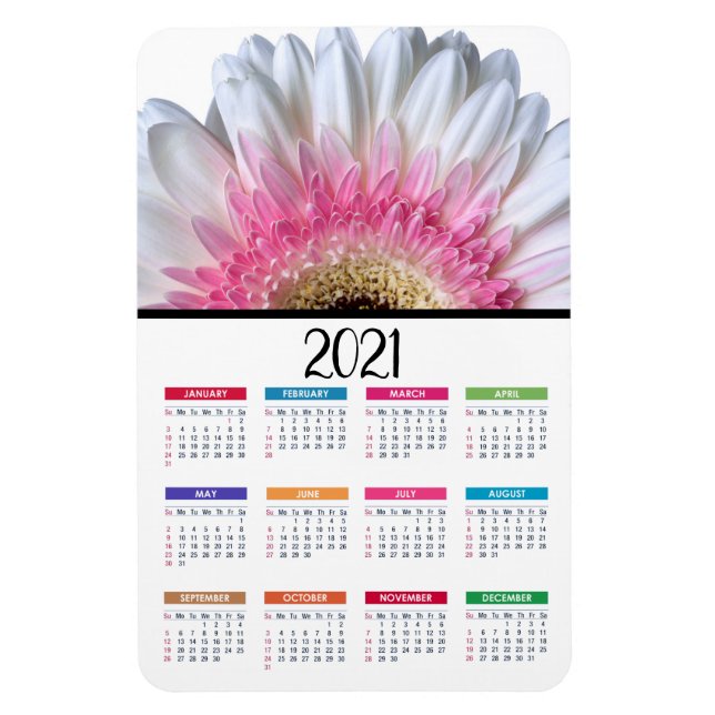 Rosa och vit Gerbera-Daisy | 2021 Kalender Magnet (Vertikal)