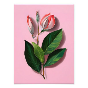 Rosa och vit Magnolia Flower Fototryck