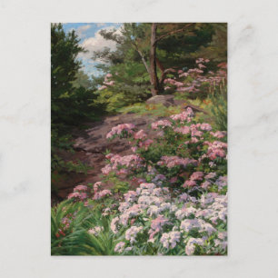 Rosa och vit Rhododendron Thomas Allen, Jr. Vykort