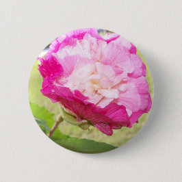 rosa och vit utbytbar hibiscus-blomma knapp