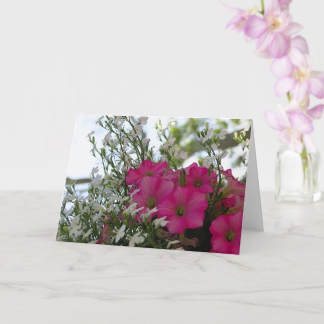 Rosa och vita blommor - Martha's Vineyard Card Kort (Orkide)