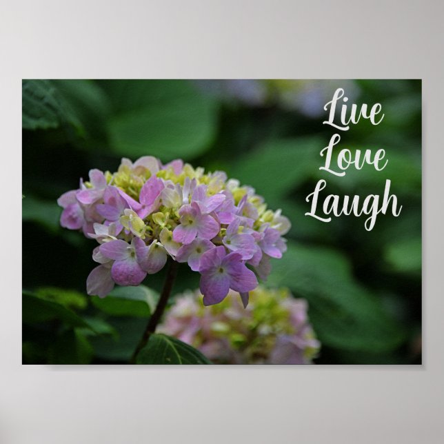 Rosa och vita Hydrangea Flowers Motivational Poster (Framsidan)