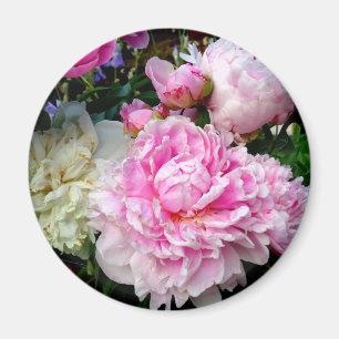 Rosa och vita ponnyer magnet