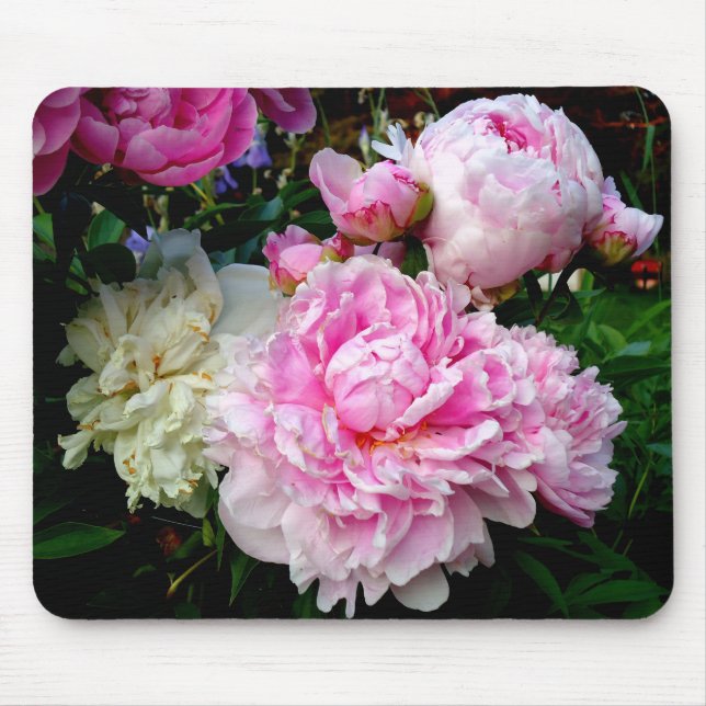 Rosa och vita ponnyer musmatta (Framsidan)