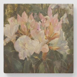 Rosa och vita rododendroner Djupa Gröntar - Foliag Stenunderlägg