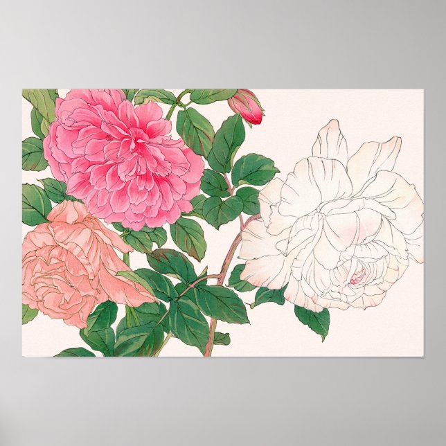 Rosa och vita rosenblommor med gröna blad poster (Framsidan)