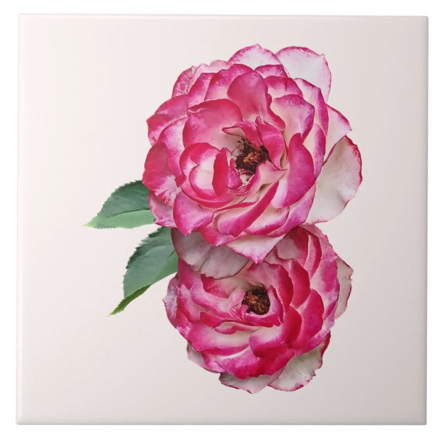 Rosa och vita rosor kakelplatta (Framsidan)