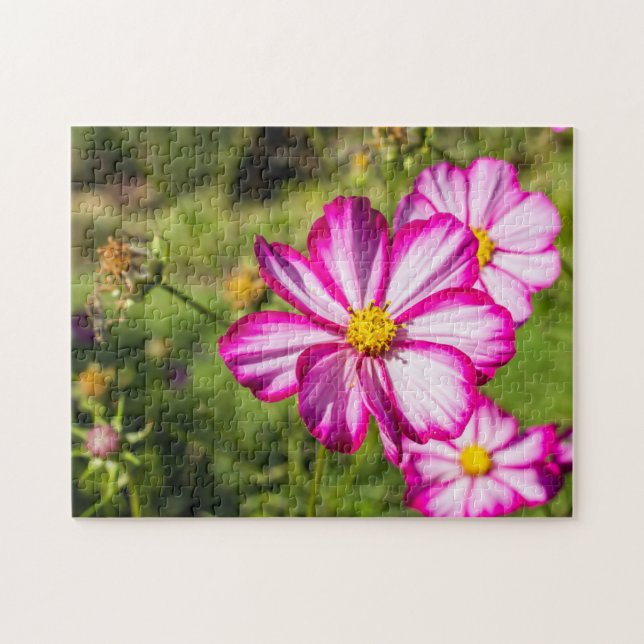 Rosa och vita somosblommor Jigszle Puzzle Pussel (Horisontell)