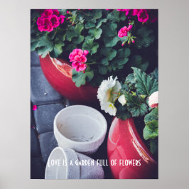 Rosa och vita trädgårdspelargonblommor poster