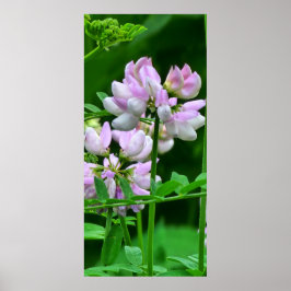 Rosa och vitblommor poster