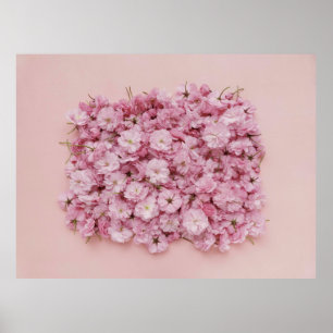 ROSA- OCH VITBLOMMOR POSTER
