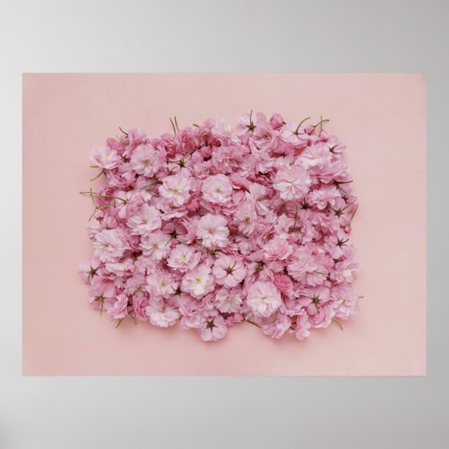 ROSA- OCH VITBLOMMOR POSTER (Framsidan)