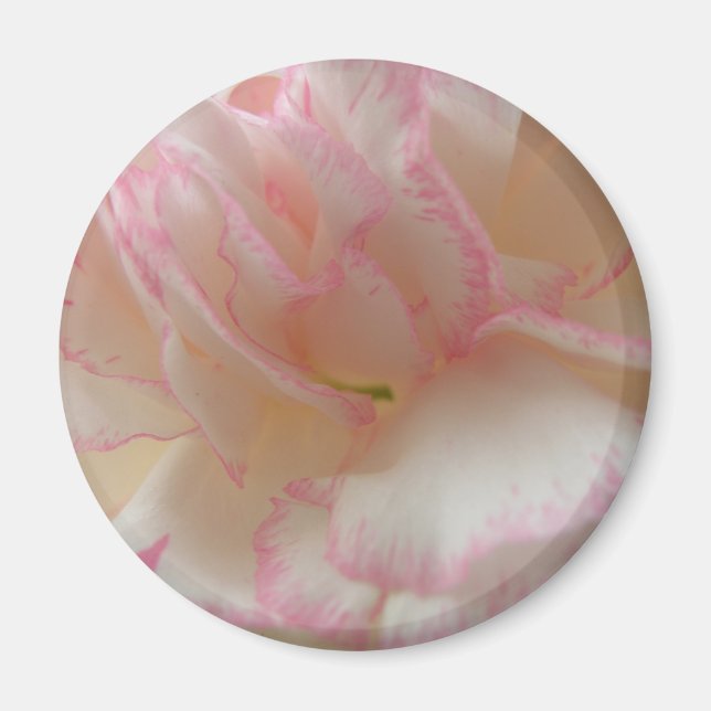 Rosa och vitkolsmagnet magnet (Framsidan)