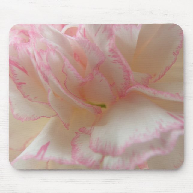 Rosa och White Carnation Mousepad Musmatta (Framsidan)