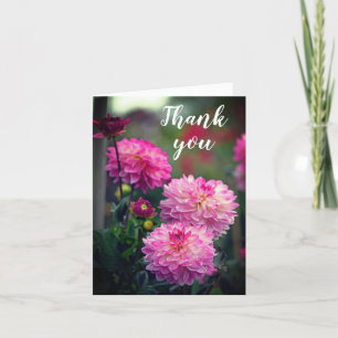 Rosa och White Dahlia Flower Tack Kort