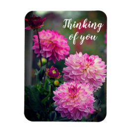 Rosa och White Dahlia Flower Thinking Magnet