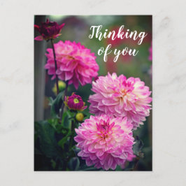 Rosa och White Dahlia Flower Thinking Vykort