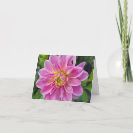 Rosa och White Garden Dahlia Helgkort