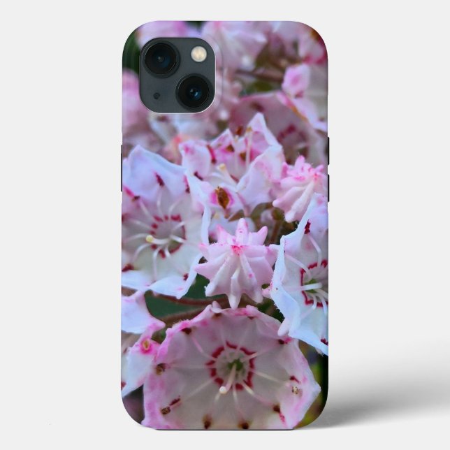 Rosa- och White Mountain Laurel Flowers (Baksida)