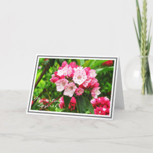 Rosa och White Mountain Laurel Kort